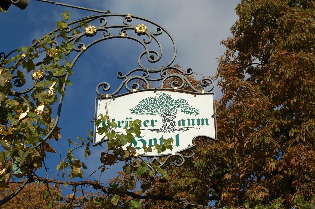 Hotel Gruener Baum Bretzenheim Exteriér fotografie